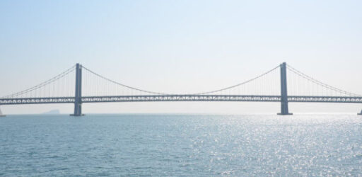 ant-xinghai-square-1292317_1280-1